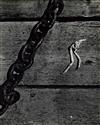 SISKIND, AARON (1903-1991) Gloucester.